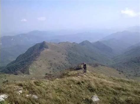 上山下山|上山下乡运动